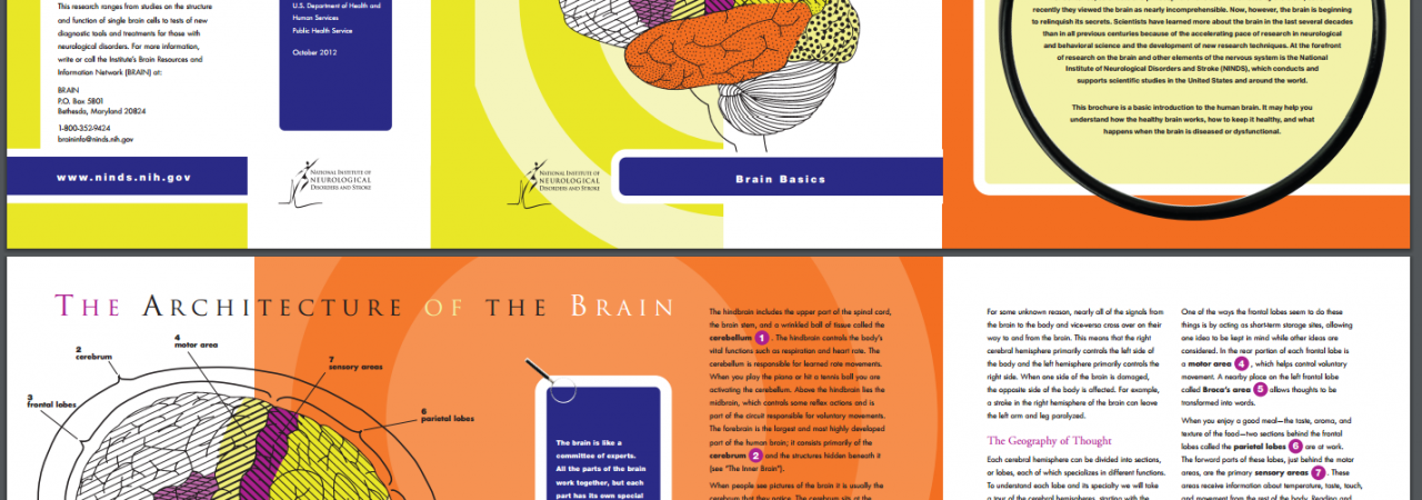 A screenshot of an e-book.