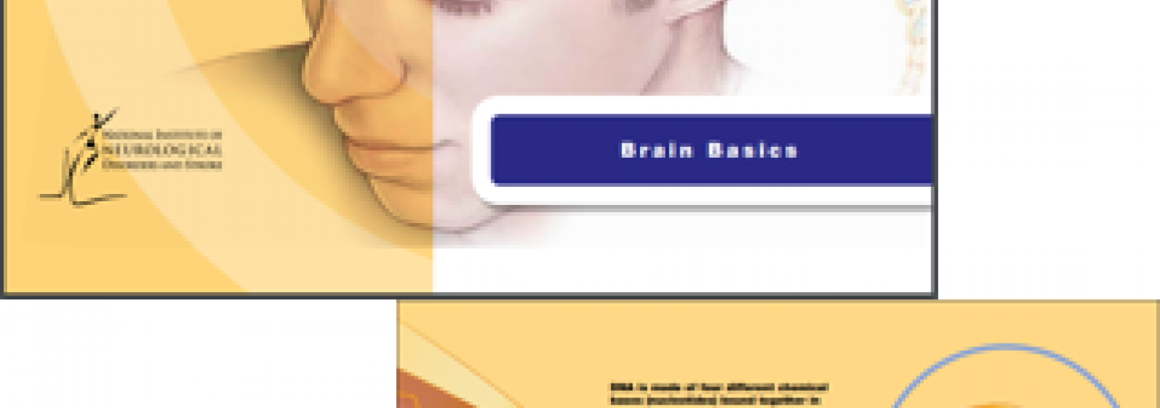 A screenshot of an e-book.