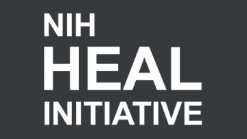 NIH HEAL Initiative